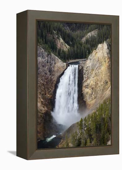 Lower falls from Lookout Point, Yellowstone National Park, Wyoming, USA-Maresa Pryor-Framed Premier Image Canvas
