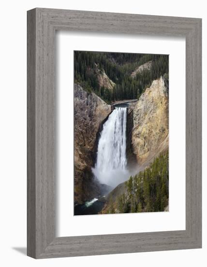 Lower falls from Lookout Point, Yellowstone National Park, Wyoming, USA-Maresa Pryor-Framed Photographic Print