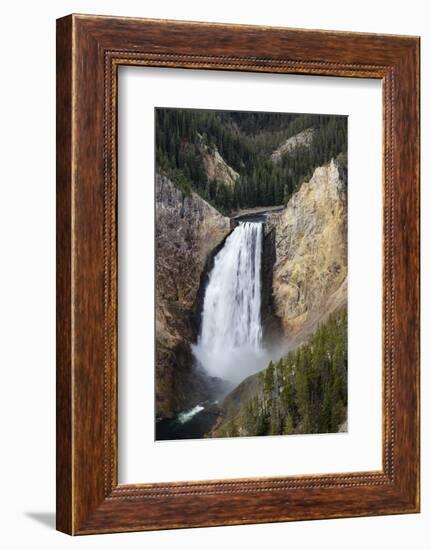 Lower falls from Lookout Point, Yellowstone National Park, Wyoming, USA-Maresa Pryor-Framed Photographic Print