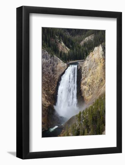 Lower falls from Lookout Point, Yellowstone National Park, Wyoming, USA-Maresa Pryor-Framed Photographic Print