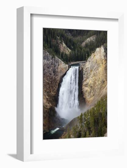 Lower falls from Lookout Point, Yellowstone National Park, Wyoming, USA-Maresa Pryor-Framed Photographic Print