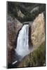 Lower falls from Lookout Point, Yellowstone National Park, Wyoming, USA-Maresa Pryor-Mounted Photographic Print