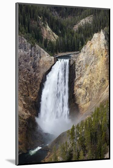 Lower falls from Lookout Point, Yellowstone National Park, Wyoming, USA-Maresa Pryor-Mounted Photographic Print