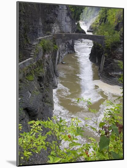 Lower Falls in Letchworth State Park, Rochester, New York State, USA-Richard Cummins-Mounted Photographic Print