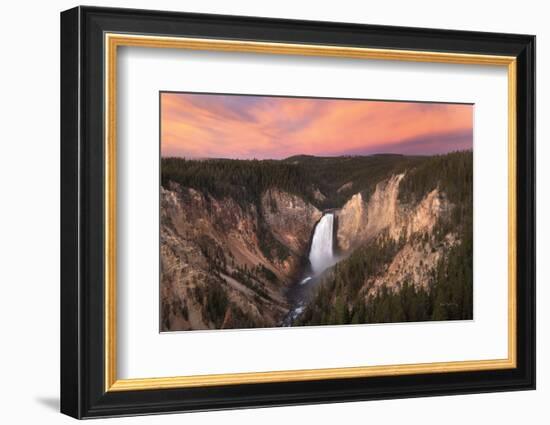 Lower Falls of the Yellowstone River I-Alan Majchrowicz-Framed Photographic Print