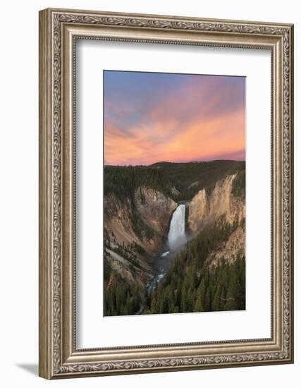 Lower Falls of the Yellowstone River II-Alan Majchrowicz-Framed Photographic Print