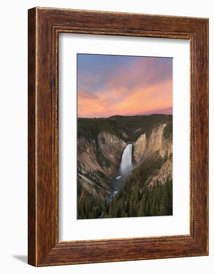 Lower Falls of the Yellowstone River II-Alan Majchrowicz-Framed Photographic Print