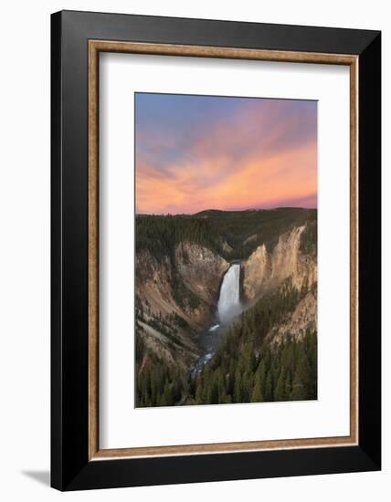 Lower Falls of the Yellowstone River II-Alan Majchrowicz-Framed Photographic Print