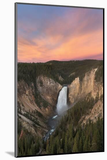 Lower Falls of the Yellowstone River II-Alan Majchrowicz-Mounted Photographic Print