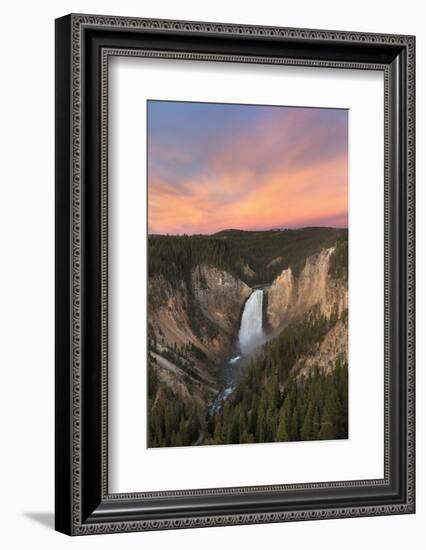 Lower Falls of the Yellowstone River II-Alan Majchrowicz-Framed Photographic Print