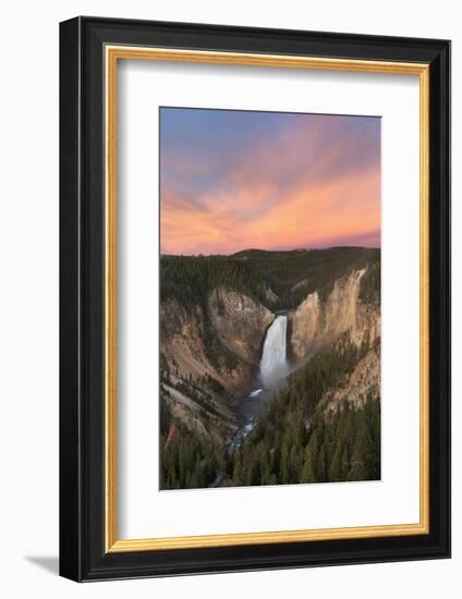 Lower Falls of the Yellowstone River II-Alan Majchrowicz-Framed Photographic Print