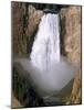 Lower Falls of the Yellowstone River in Yellowstone National Park-Eliot Elisofon-Mounted Photographic Print