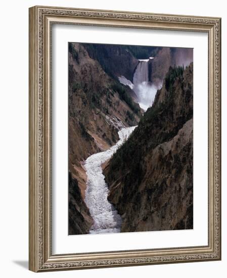 Lower Falls of the Yellowstone River, Yellowstone National Park, Wyoming, USA-Dee Ann Pederson-Framed Photographic Print