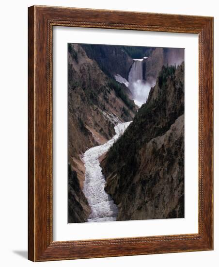 Lower Falls of the Yellowstone River, Yellowstone National Park, Wyoming, USA-Dee Ann Pederson-Framed Photographic Print