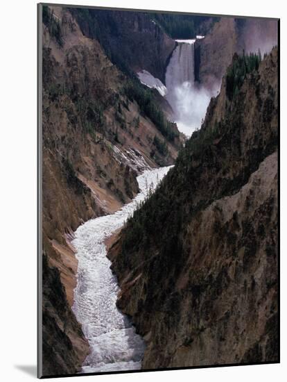 Lower Falls of the Yellowstone River, Yellowstone National Park, Wyoming, USA-Dee Ann Pederson-Mounted Photographic Print