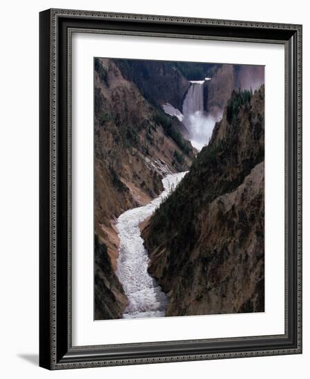 Lower Falls of the Yellowstone River, Yellowstone National Park, Wyoming, USA-Dee Ann Pederson-Framed Photographic Print