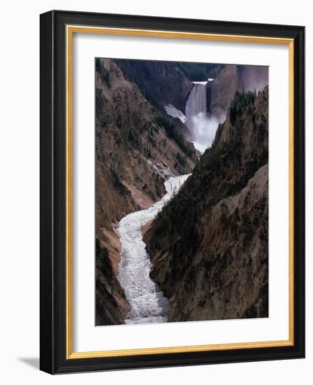 Lower Falls of the Yellowstone River, Yellowstone National Park, Wyoming, USA-Dee Ann Pederson-Framed Photographic Print