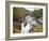 Lower Falls on the Water of Nevis in Autumn, Glen Nevis, Near Fort William-Ruth Tomlinson-Framed Photographic Print