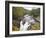 Lower Falls on the Water of Nevis in Autumn, Glen Nevis, Near Fort William-Ruth Tomlinson-Framed Photographic Print
