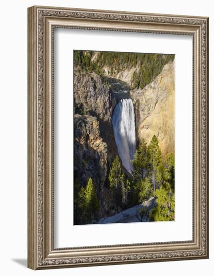 Lower Falls, Yellowstone River, Yellowstone National Park, Wyoming, United States of America-Gary Cook-Framed Photographic Print