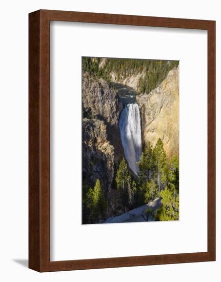 Lower Falls, Yellowstone River, Yellowstone National Park, Wyoming, United States of America-Gary Cook-Framed Photographic Print