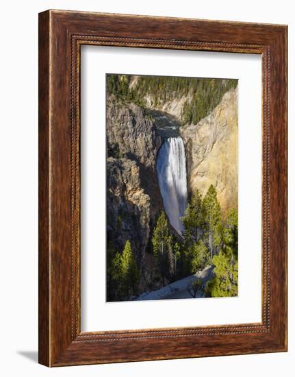 Lower Falls, Yellowstone River, Yellowstone National Park, Wyoming, United States of America-Gary Cook-Framed Photographic Print