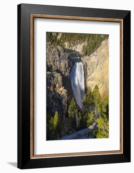 Lower Falls, Yellowstone River, Yellowstone National Park, Wyoming, United States of America-Gary Cook-Framed Photographic Print