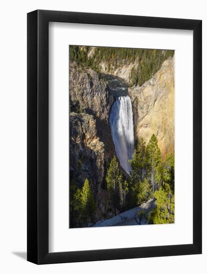 Lower Falls, Yellowstone River, Yellowstone National Park, Wyoming, United States of America-Gary Cook-Framed Photographic Print