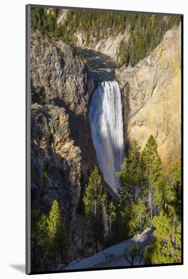 Lower Falls, Yellowstone River, Yellowstone National Park, Wyoming, United States of America-Gary Cook-Mounted Photographic Print