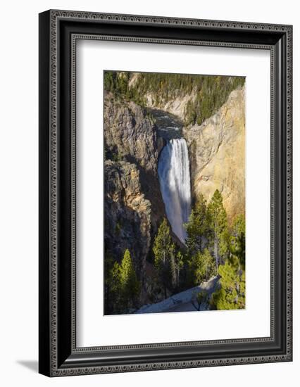 Lower Falls, Yellowstone River, Yellowstone National Park, Wyoming, United States of America-Gary Cook-Framed Photographic Print