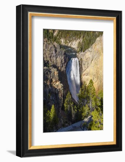 Lower Falls, Yellowstone River, Yellowstone National Park, Wyoming, United States of America-Gary Cook-Framed Photographic Print