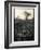 Lower Jaw of Animal Skull on Parched Mud in Selous Game Reserve, Tanzania-Paul Joynson Hicks-Framed Photographic Print