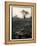 Lower Jaw of Animal Skull on Parched Mud in Selous Game Reserve, Tanzania-Paul Joynson Hicks-Framed Premier Image Canvas