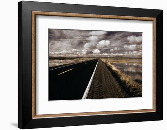 Lower Klamath Lake-David Winston-Framed Giclee Print