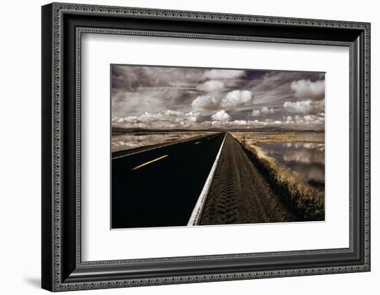 Lower Klamath Lake-David Winston-Framed Giclee Print