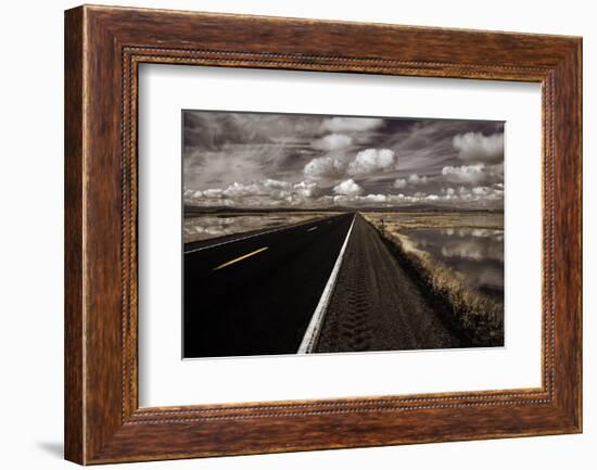 Lower Klamath Lake-David Lorenz Winston-Framed Art Print