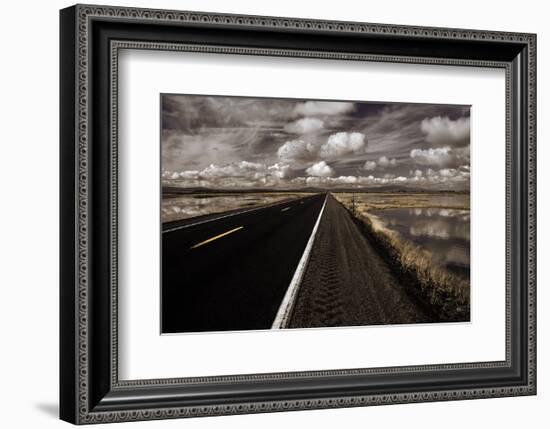 Lower Klamath Lake-David Lorenz Winston-Framed Art Print