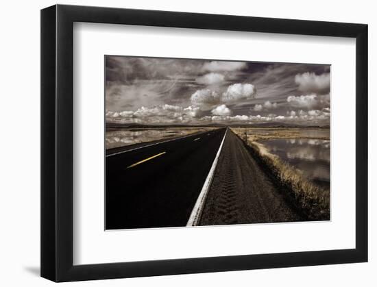 Lower Klamath Lake-David Lorenz Winston-Framed Art Print