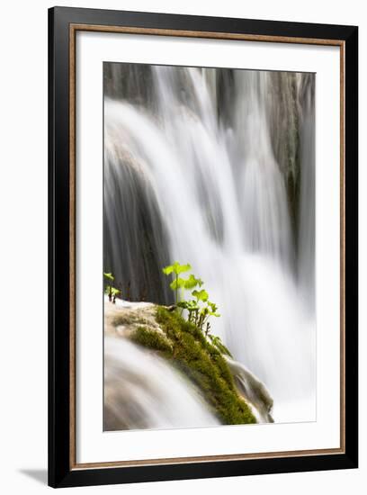 Lower Lakes, Waterfall Slapovi M Trnine, Plitvice Lakes, Plitvicka Jezera, Croatia-Martin Zwick-Framed Photographic Print