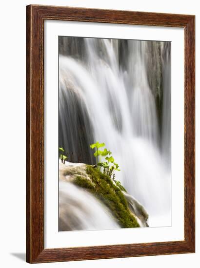 Lower Lakes, Waterfall Slapovi M Trnine, Plitvice Lakes, Plitvicka Jezera, Croatia-Martin Zwick-Framed Photographic Print