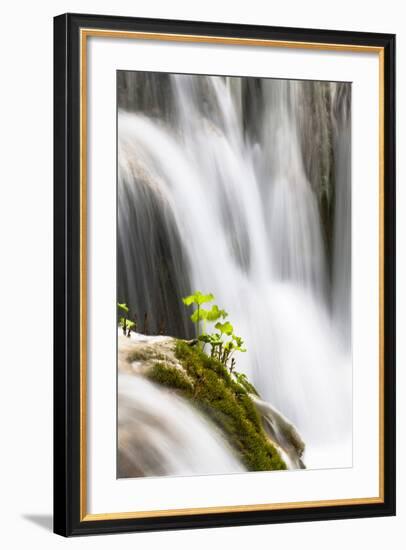 Lower Lakes, Waterfall Slapovi M Trnine, Plitvice Lakes, Plitvicka Jezera, Croatia-Martin Zwick-Framed Photographic Print