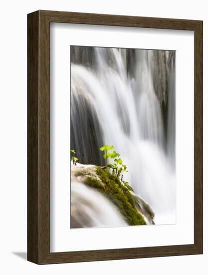Lower Lakes, Waterfall Slapovi M Trnine, Plitvice Lakes, Plitvicka Jezera, Croatia-Martin Zwick-Framed Photographic Print