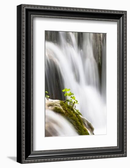 Lower Lakes, Waterfall Slapovi M Trnine, Plitvice Lakes, Plitvicka Jezera, Croatia-Martin Zwick-Framed Photographic Print