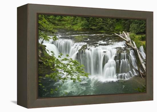 Lower Lewis Falls, Lewis River, Cougar, Washington, Usa-Michel Hersen-Framed Premier Image Canvas