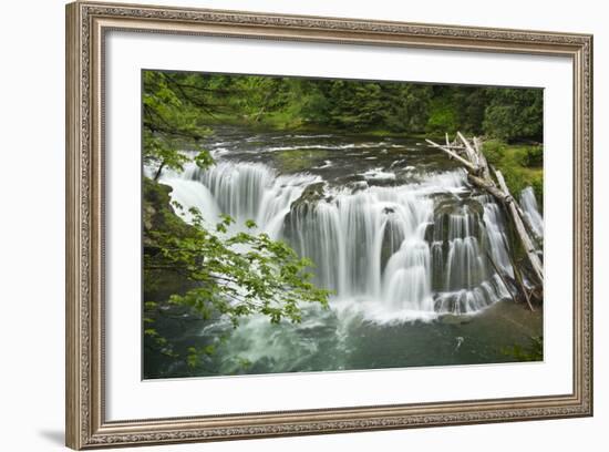 Lower Lewis Falls, Lewis River, Cougar, Washington, Usa-Michel Hersen-Framed Photographic Print