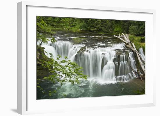 Lower Lewis Falls, Lewis River, Cougar, Washington, Usa-Michel Hersen-Framed Photographic Print