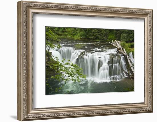 Lower Lewis Falls, Lewis River, Cougar, Washington, Usa-Michel Hersen-Framed Photographic Print