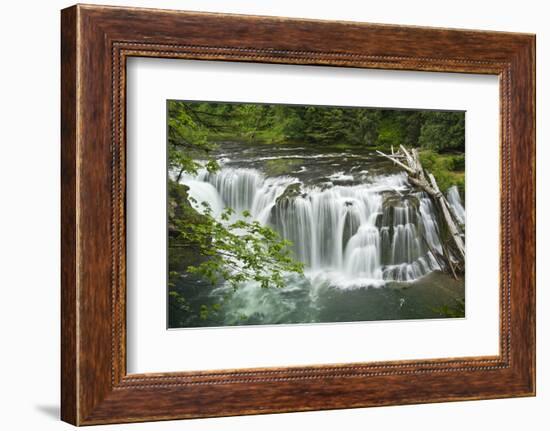 Lower Lewis Falls, Lewis River, Cougar, Washington, Usa-Michel Hersen-Framed Photographic Print