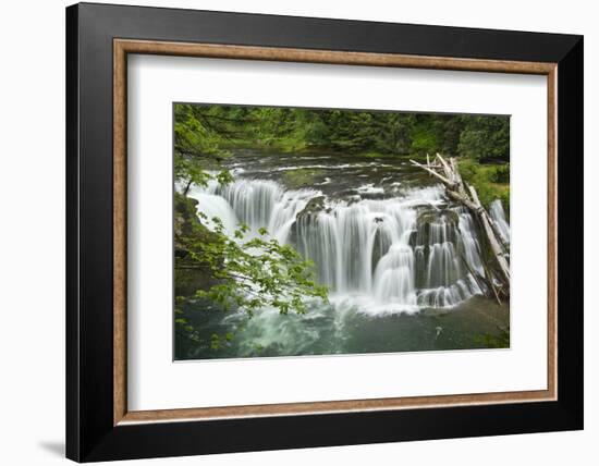 Lower Lewis Falls, Lewis River, Cougar, Washington, Usa-Michel Hersen-Framed Photographic Print