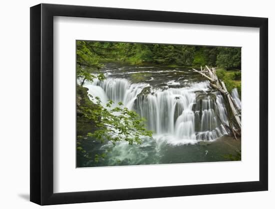 Lower Lewis Falls, Lewis River, Cougar, Washington, Usa-Michel Hersen-Framed Photographic Print